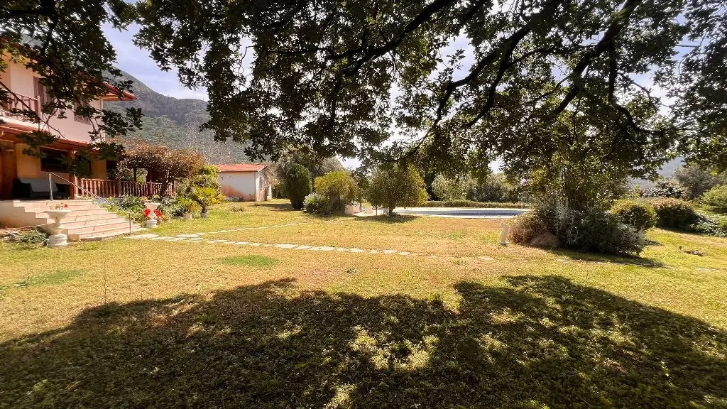 Garden area
